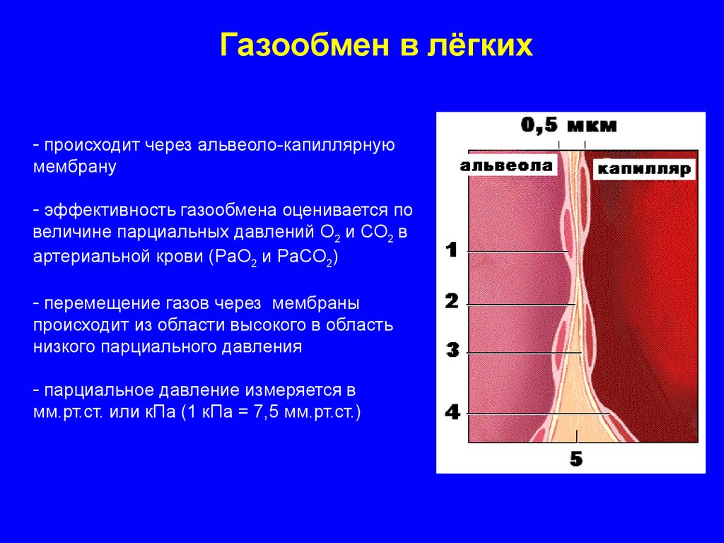 Анализ газов