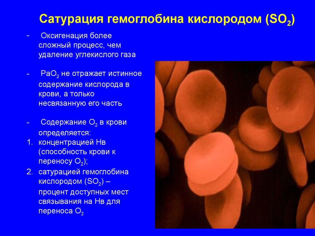 Схема насыщения крови кислородом