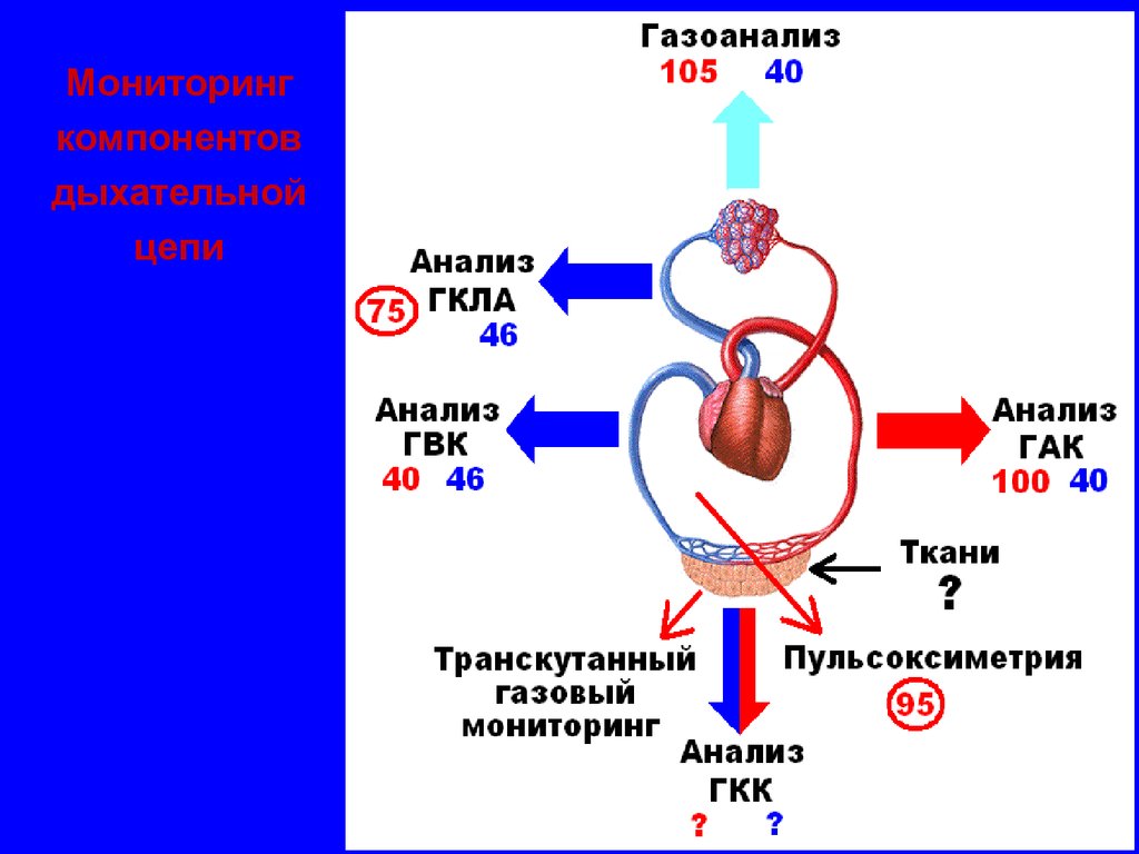 Исследование газов. Транскутанное исследование газов крови. Исследование кислотно-основного состояния при дыхательной. Исследование газов крови в каком анализе. Газоанализ крови.