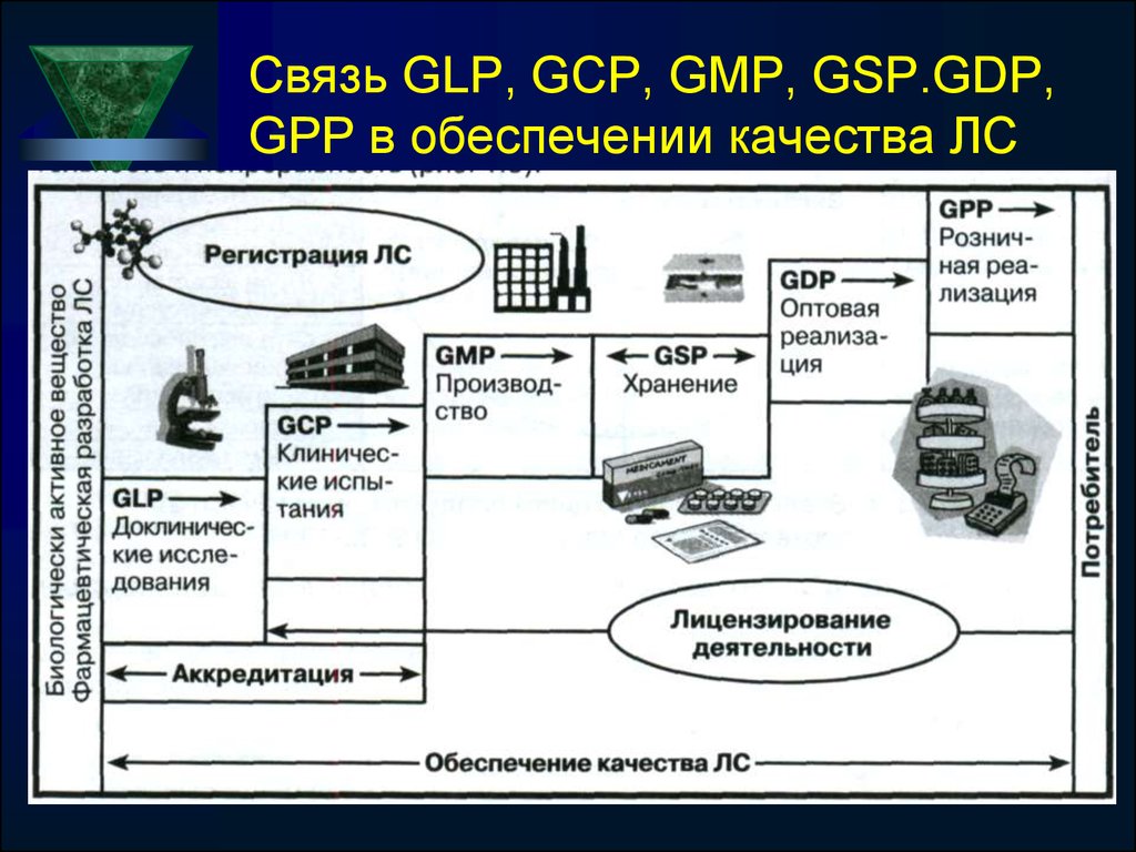 Связь GLP, GCP, GMP, GSP.GDP, GPP в обеспечении качества ЛС