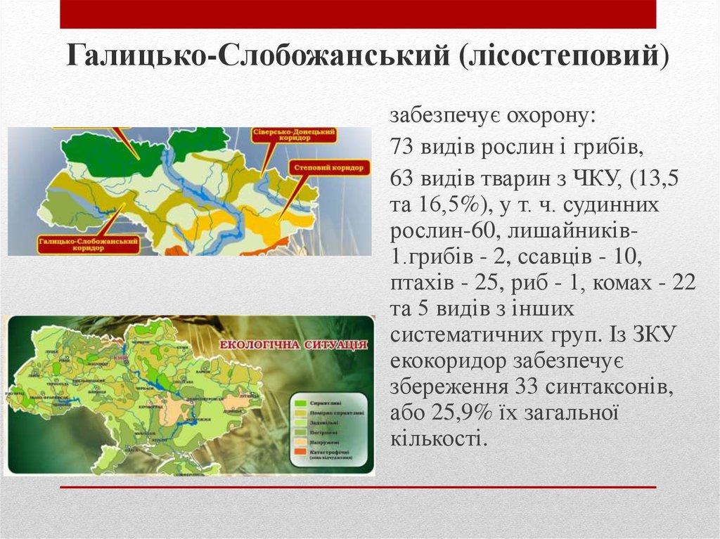 Галицько-Слобожанський (лісостеповий)