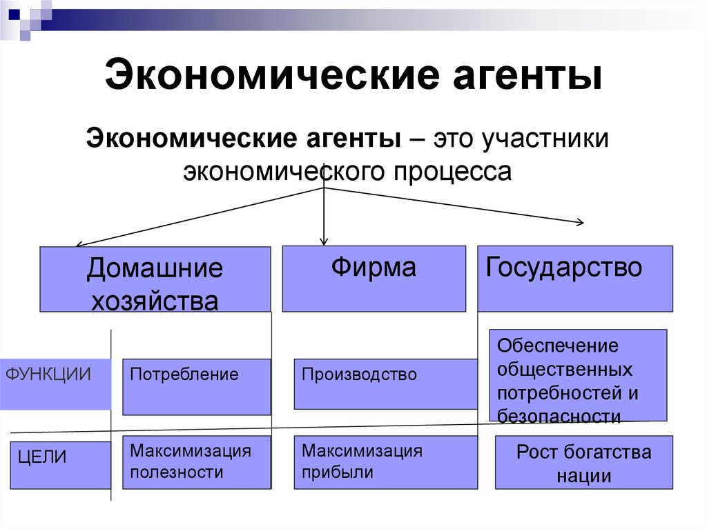 Какие экономические. Экономические агенты. Экономические агенты примеры. Классификация экономических агентов. Экономические агенты в экономике это.