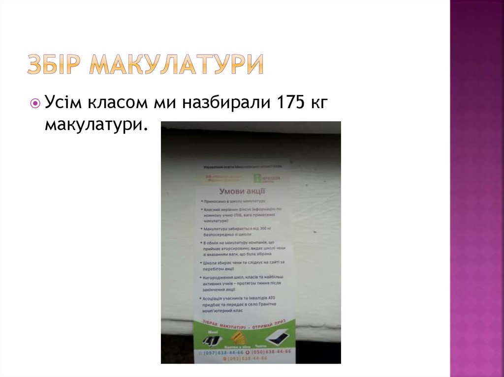 Збір макулатури