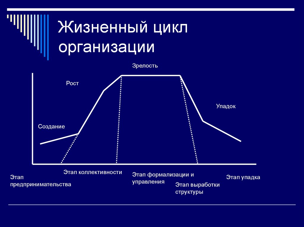 Стадии жизненного цикла дать характеристику. Этапы жизненного цикла фирмы. Стадий жизненного цикла организации. Фазы жизненного цикла фирмы. Жизненного цикла организации (ЖЦО).