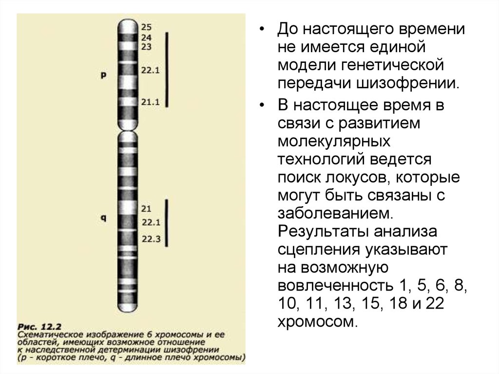 Генетика шизофрении презентация