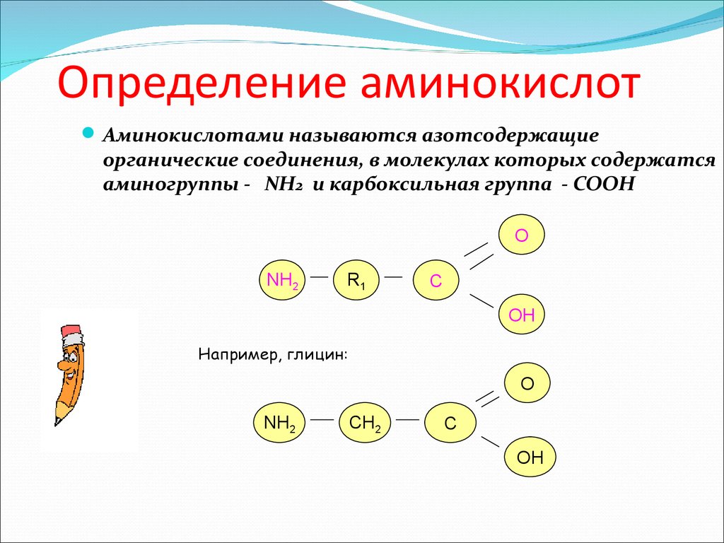 Сколько всего аминокислот. Аминокислоты определение. Соединения аминокислот и их названия. Аминокислоты называются определение. Молекулярная формула аминокислот.