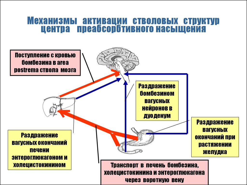 Активируйте механизм