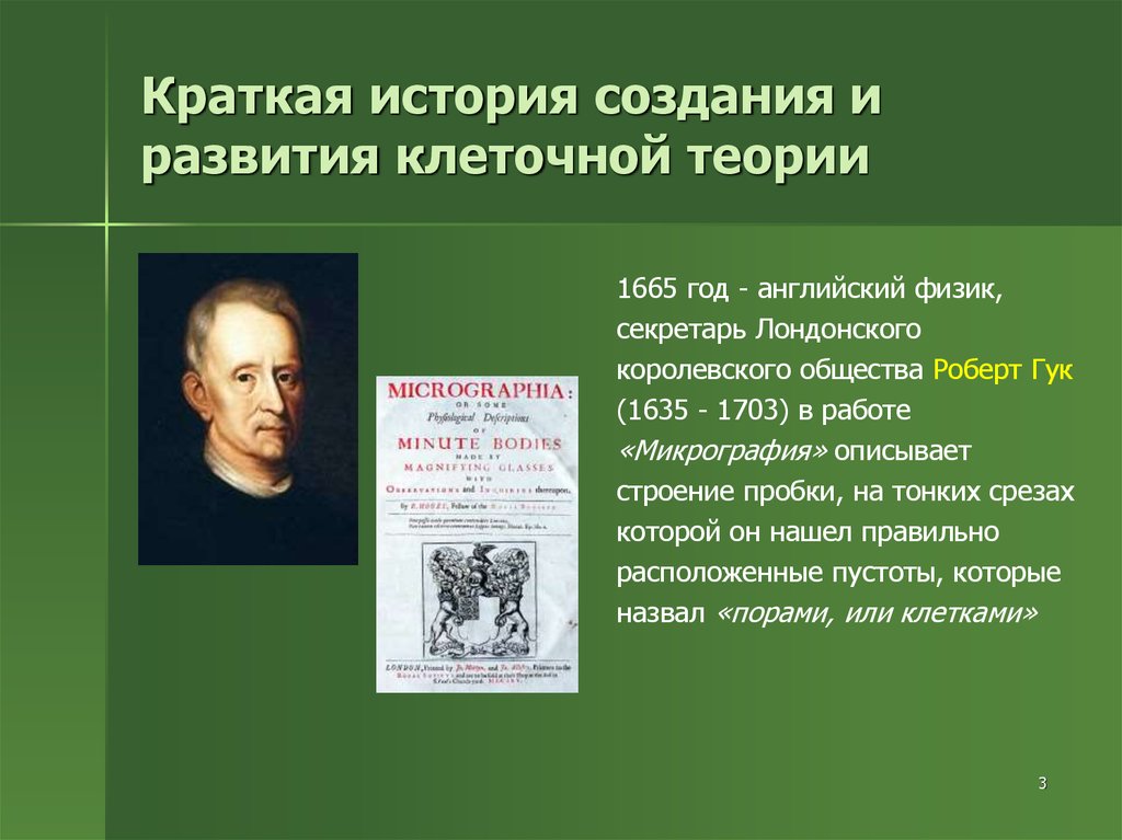 Кто создал клеточную теорию. История развития клеточной теории. История развития клетки кратко. История создания клеточной теории кратко. Появление и развитие клеточной теории.