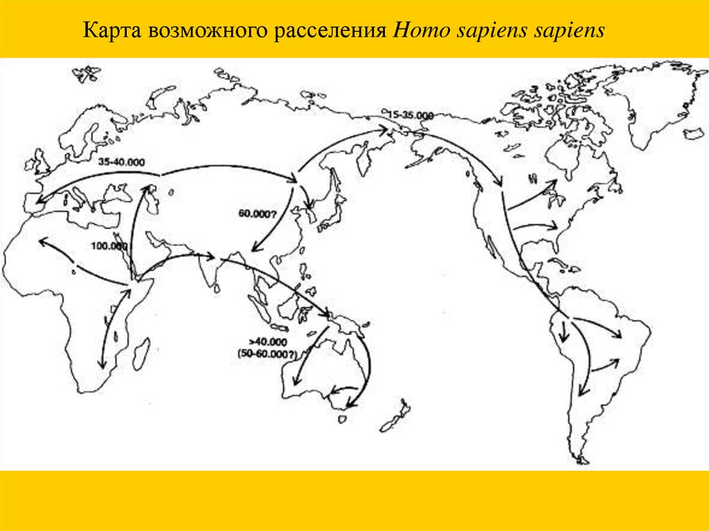 Расселение детей. Карта расселения homo sapiens sapiens. Карта расселения хомо сапиенс. Карта миграции хомо сапиенс. Составьте карту расселения homo sapiens sapiens..