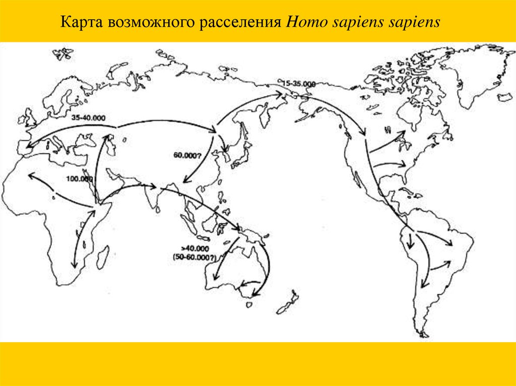 Карта расселения человечества