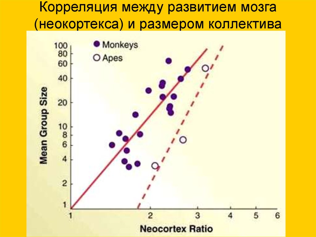 Развитие между. Корреляция между развитием мозга и размером коллектива. Корреляция между объемом мозга и интеллектуальными расстройствами. Корреляция между скоростью ветра и. Корреляция между IQ И умом.