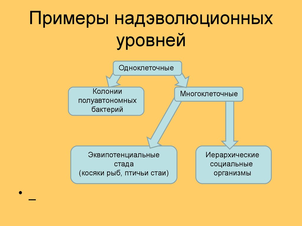 Системные законы. Системная парадигма. Парадигма в обществознании это примеры.