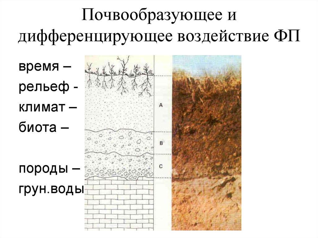 Карта почвообразующих пород