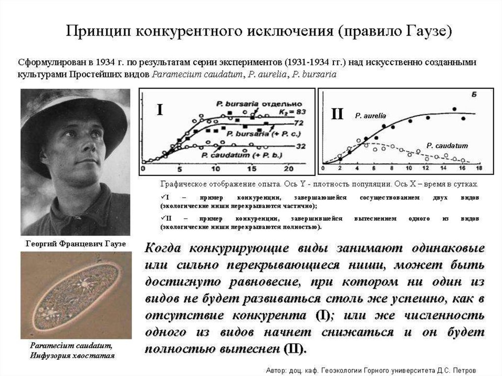 Принцип конкурентного исключения