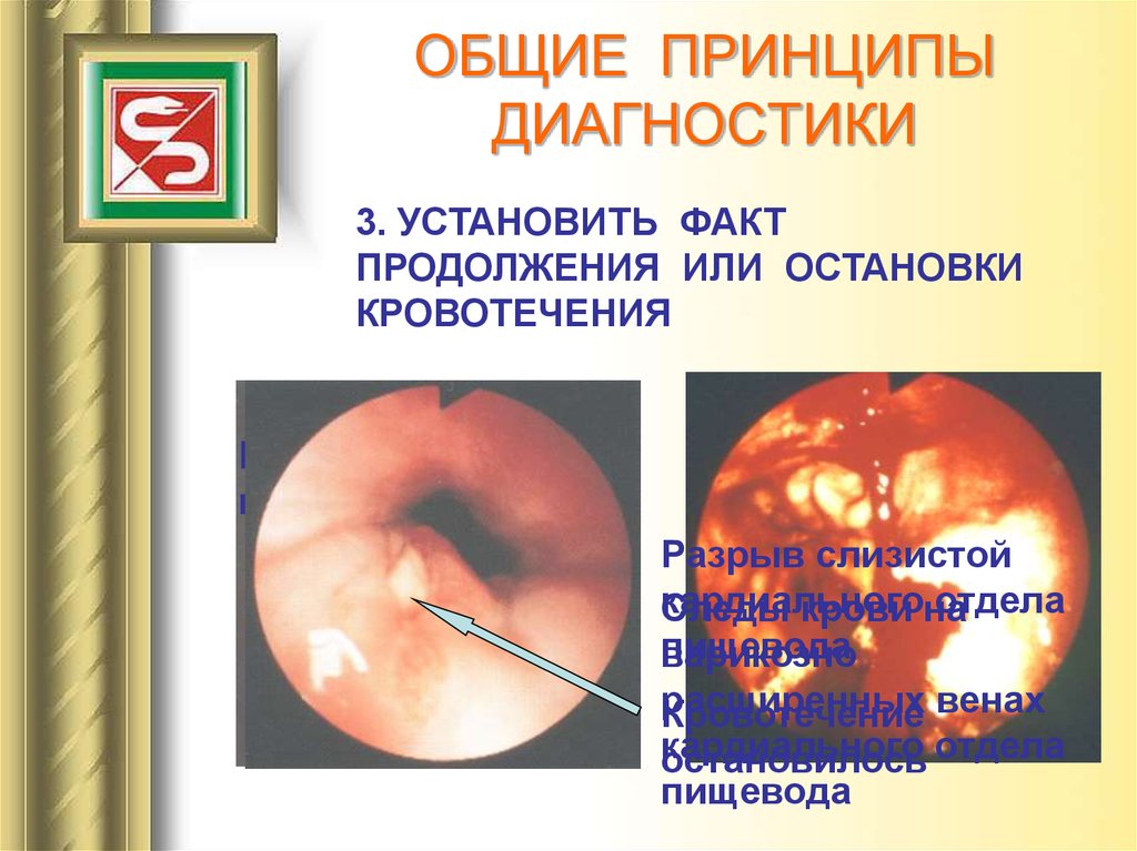 ОБЩИЕ ПРИНЦИПЫ ДИАГНОСТИКИ
