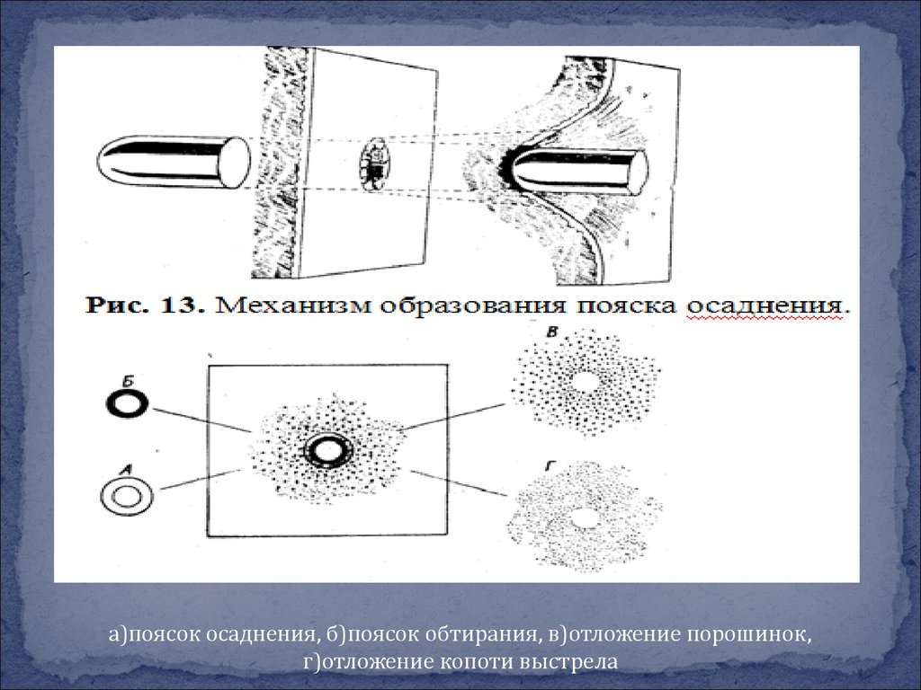 Следы выстрела. Поясок осаднения криминалистика. Поясок обтирания и поясок осаднения. Поясок обтирания криминалистика. Поясок осаднения гистология.