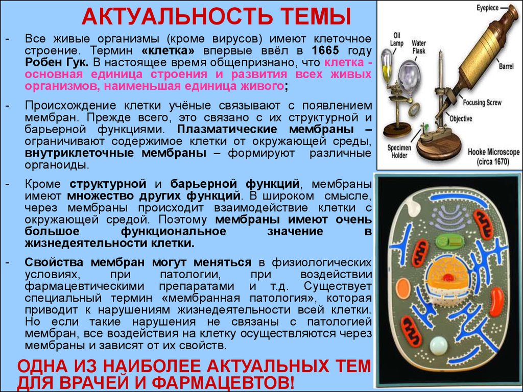 Структурная функция