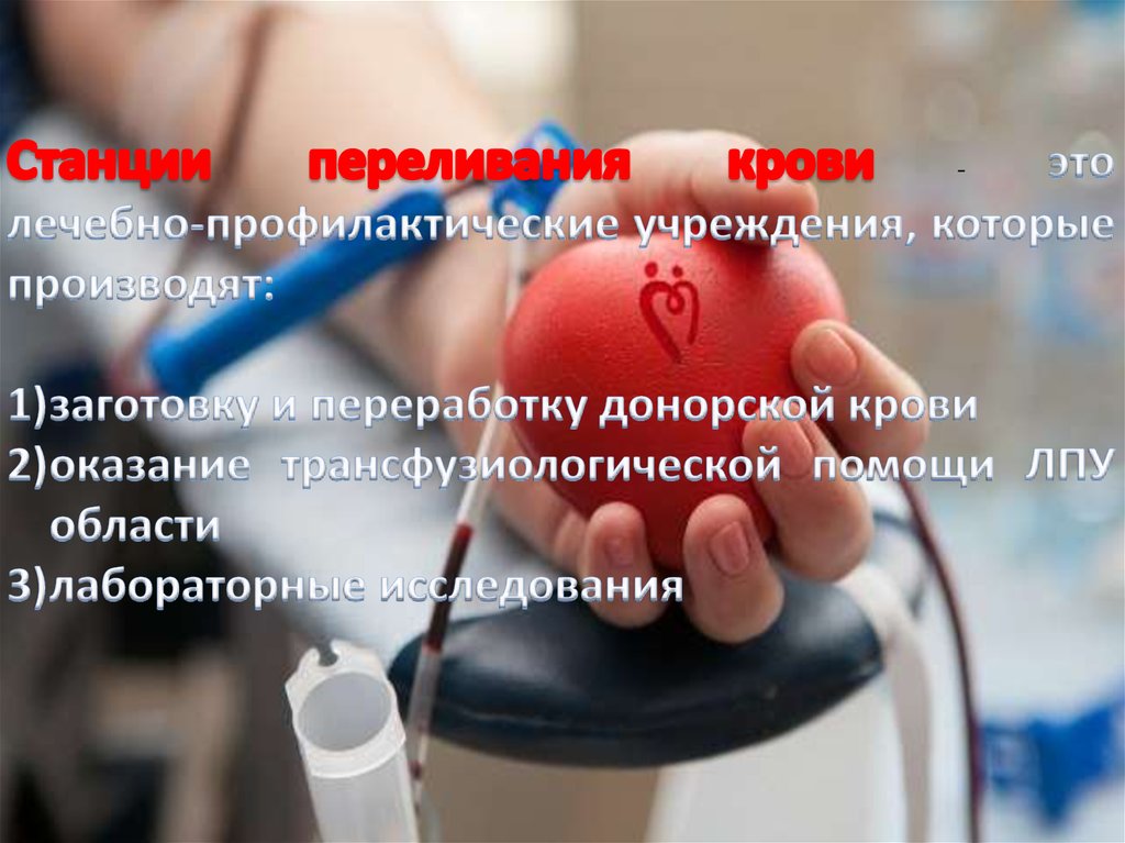Донорство крови ярославль. Станция переливания крови. Служба крови Республики Беларусь. Задачи станции переливания крови.
