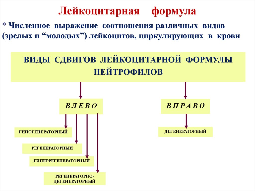 Лейкоцитарная формула крови сдвиги. Сдвиг лейкоцитарной формулы влево. Нейтрофильный сдвиг лейкоцитарной формулы. Сдвиг лейкоцит формулы влево. Лейкоцитарная формула сдвиги формулы.