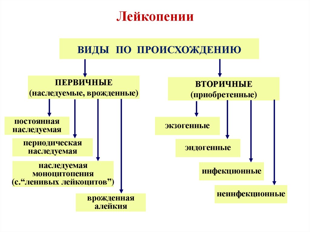 Механизм развития лейкопении. Патогенез лейкопении патофизиология. Лейкопении классификация патофизиология. Лейкопения первичная и вторичная.