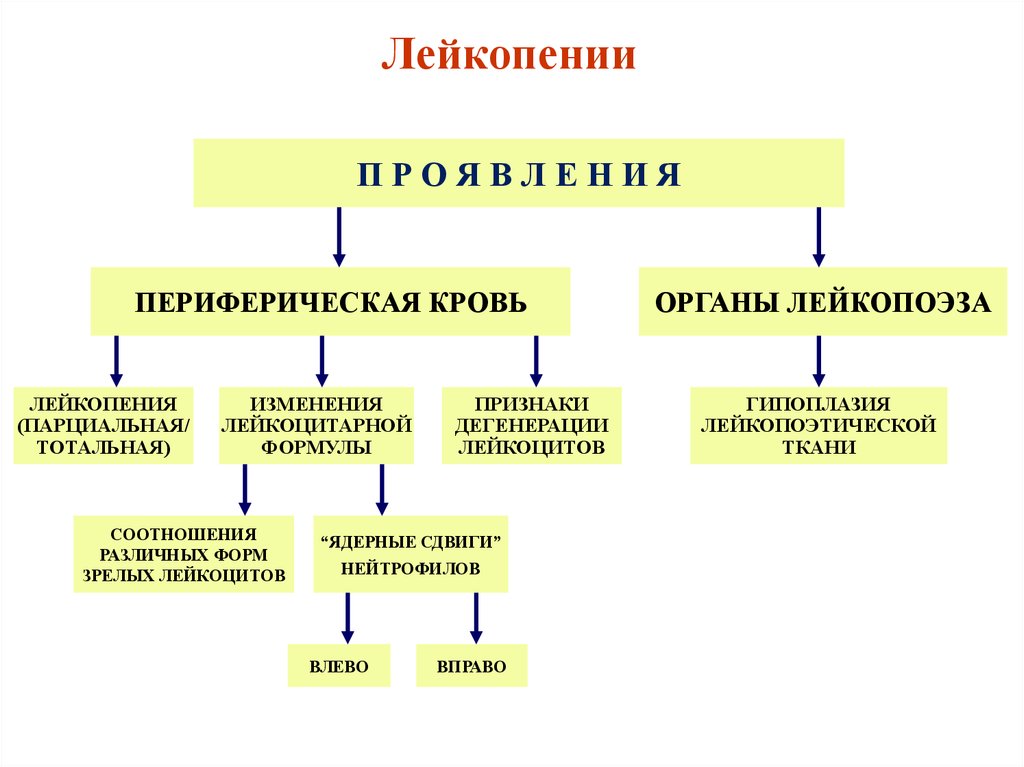 Механизм развития лейкопении. Лейкопения классификация. Лейкопении классификация патофизиология. Основные клинические проявления лейкопения.