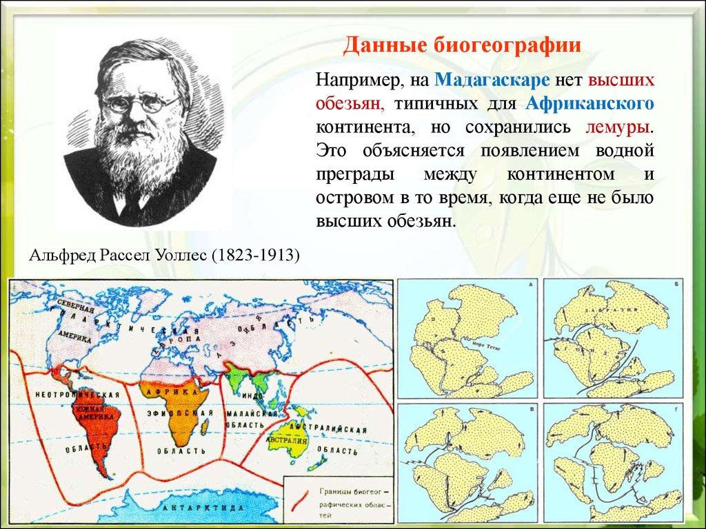 Расселение обитателей островов презентация