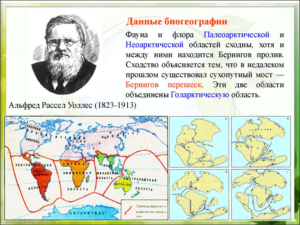 Биогеографическая картина мира