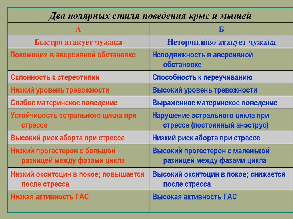 Индивидуальное поведение