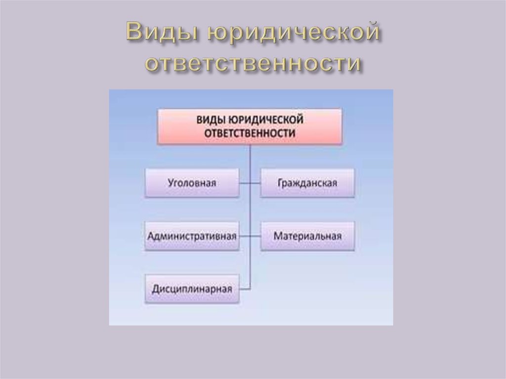 Виды правовой ответственности. Виды юристов. Природа и структура юридической ответственности. Определите все виды юридической ответственности Клюева.. Виды ответственности гл. Буг.