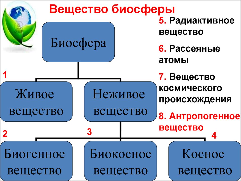Конспект на тему биосфера. Биосфера живое вещество косное вещество биокосное вещество. Таблица костное биокостное биогенное вещество. Типы веществ в биосфере. Типы веществ в биосфере по в.и Вернадскому.