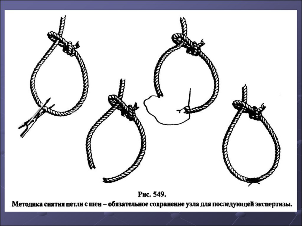 Свободный узел для подвязки томатов схема