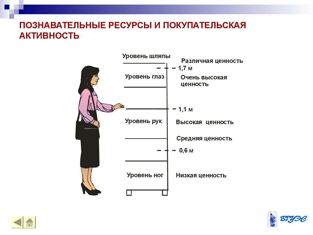 Человек 4 уровня. Уровень глаз в мерчандайзинге. Товар на уровне глаз. Размещение товара на уровне глаз. Золотая полка в магазине.