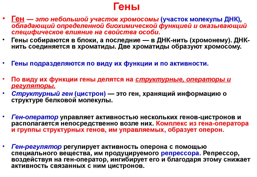 Ген имеет. Гены. Ген оператор. Ген это в биологии. Гены это кратко.