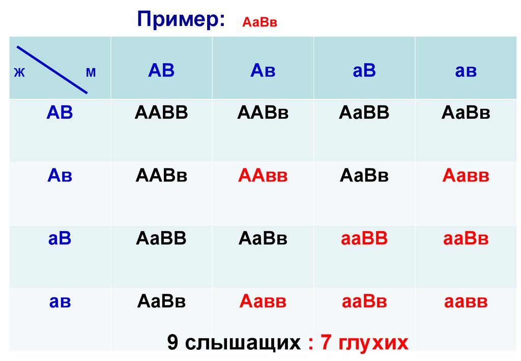 Аа х. ААВВ. ААВВ ААВВ. ААВВ X ААВВ. Р: ♂ ААВВ Х ♀ ААВВ.