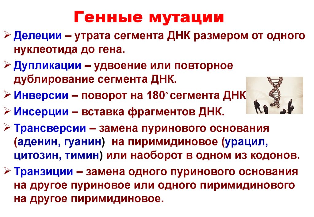 Генные мутации рисунок