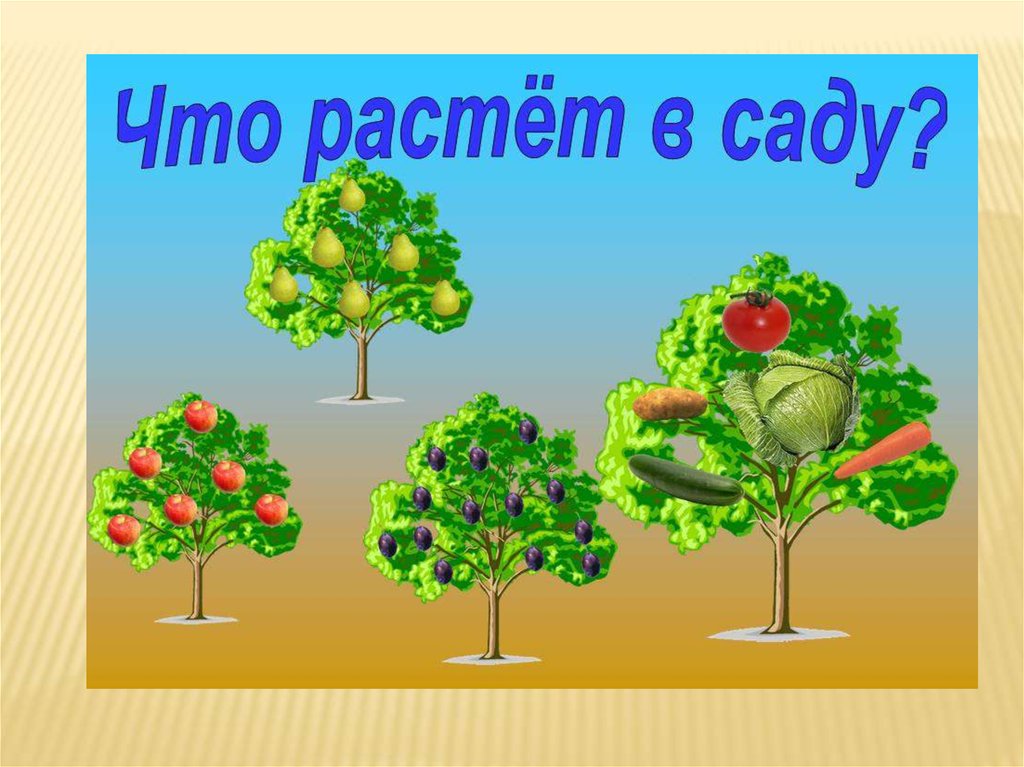 В саду растут. Плодовые деревья для дошкольников. Фруктовые деревья для дошкольников. Фруктовые деревья для сада для дошкольников. Что растет в саду.