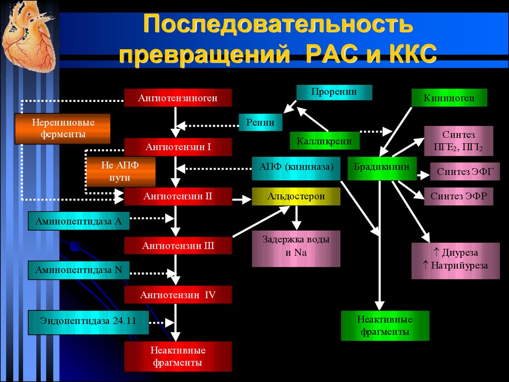 Правильный порядок преобразования жидкостей. Последовательность превращений. Преобразование последовательности. Последовательность нефтехимических превращений. Правильная последовательность нефтехимических превращений.