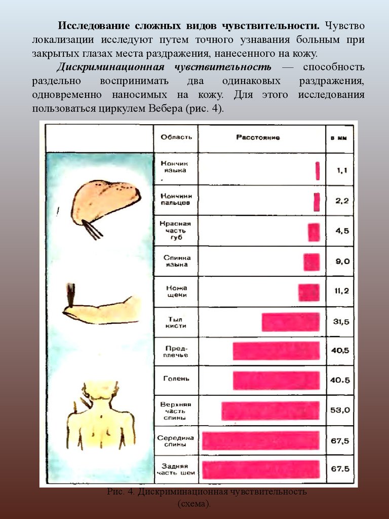 Тест на уровень чувствительности. Исследование сложных видов чувствительности. Схема чувствительности человека. Методы исследования различных видов чувствительности. Исследование дискриминационной чувствительности.