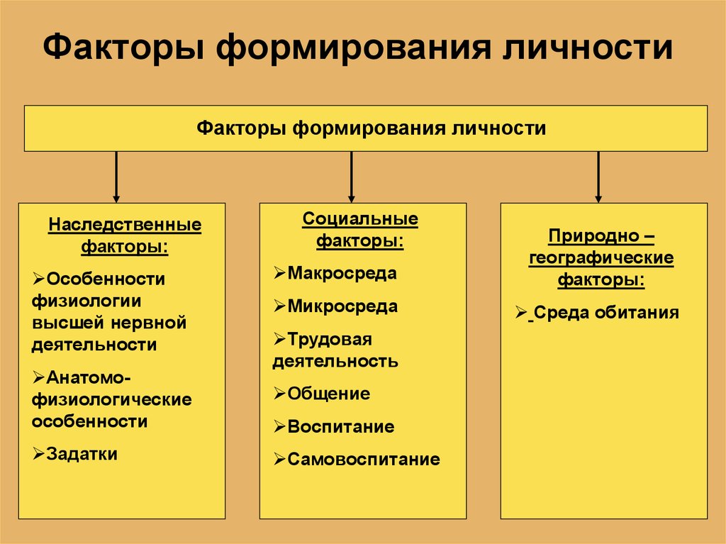 Внешние условия развития. Факторы развития личности в психологии. Факторы формирования личности. Перечислите факторы формирования личности. Факторы формирования личности в психологии.