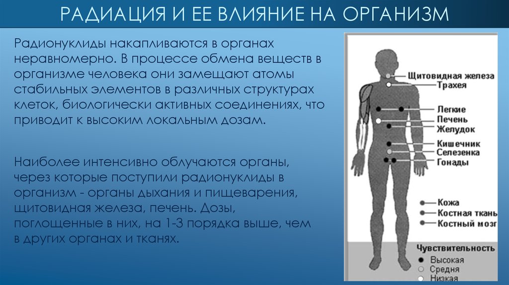 Радиация кожи. Радиоактивность и организм. Влияние радиации на организм человека. Радионуклиды влияние на организм человека. Влияние облучения на организм человека.