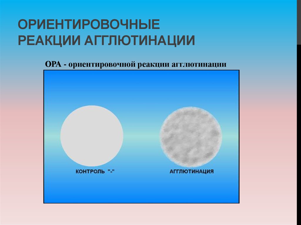 Реакция агглютинации микробиология презентация