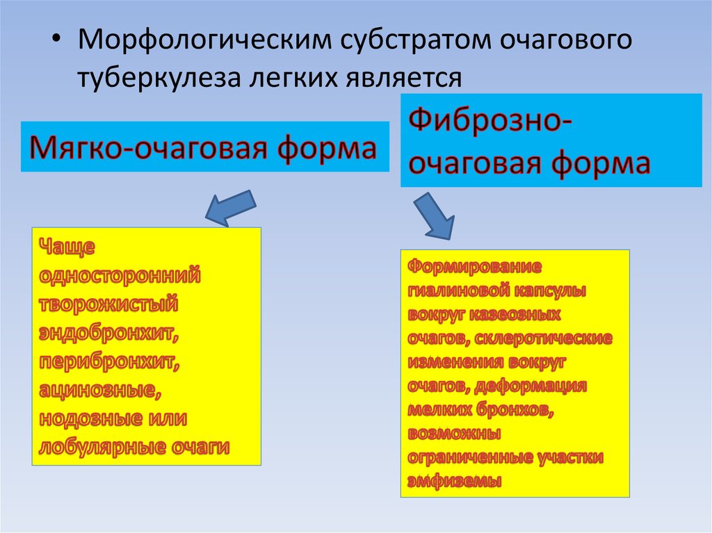 Очаговый туберкулез схема