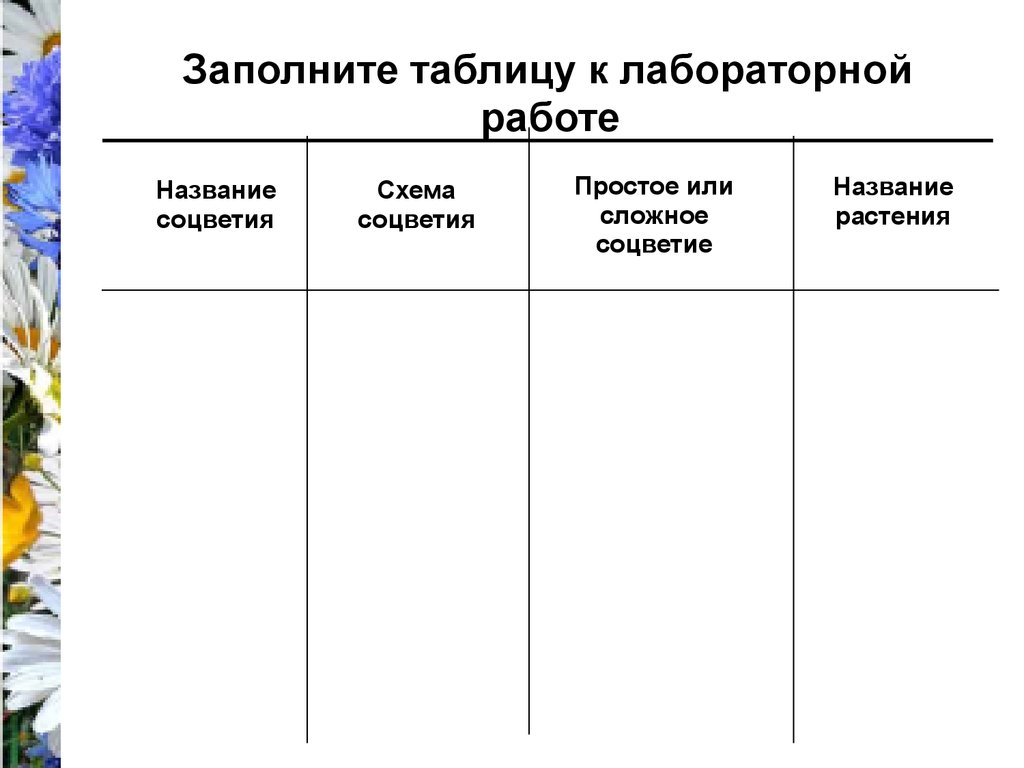 Соцветия. Венчик и тычинки - презентация онлайн