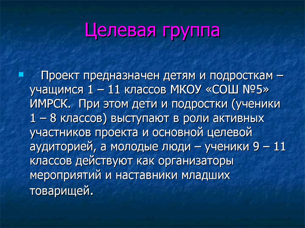 Описание целевой группы проекта