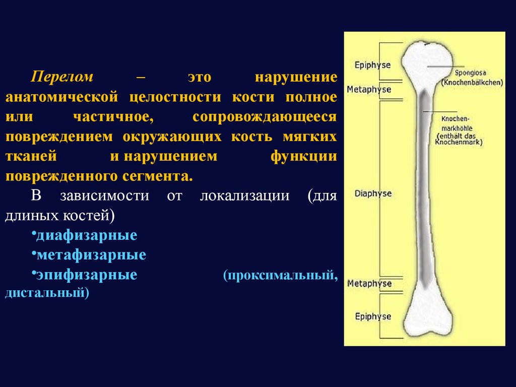 Полное или частичное нарушение целостности кости это