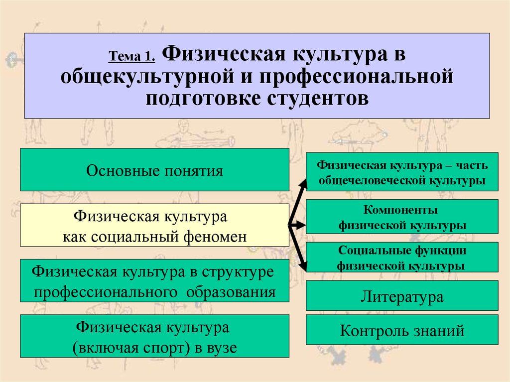 1 профессиональная подготовка. Физическая культура в профессиональной подготовке студентов. Компоненты физической культуры. Физическая культура в системе общекультурных ценностей. Роль физической культуры в общекультурном.