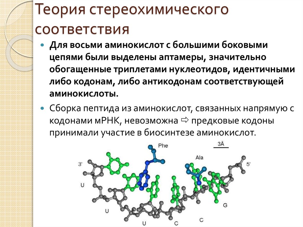 Генетическое соответствие