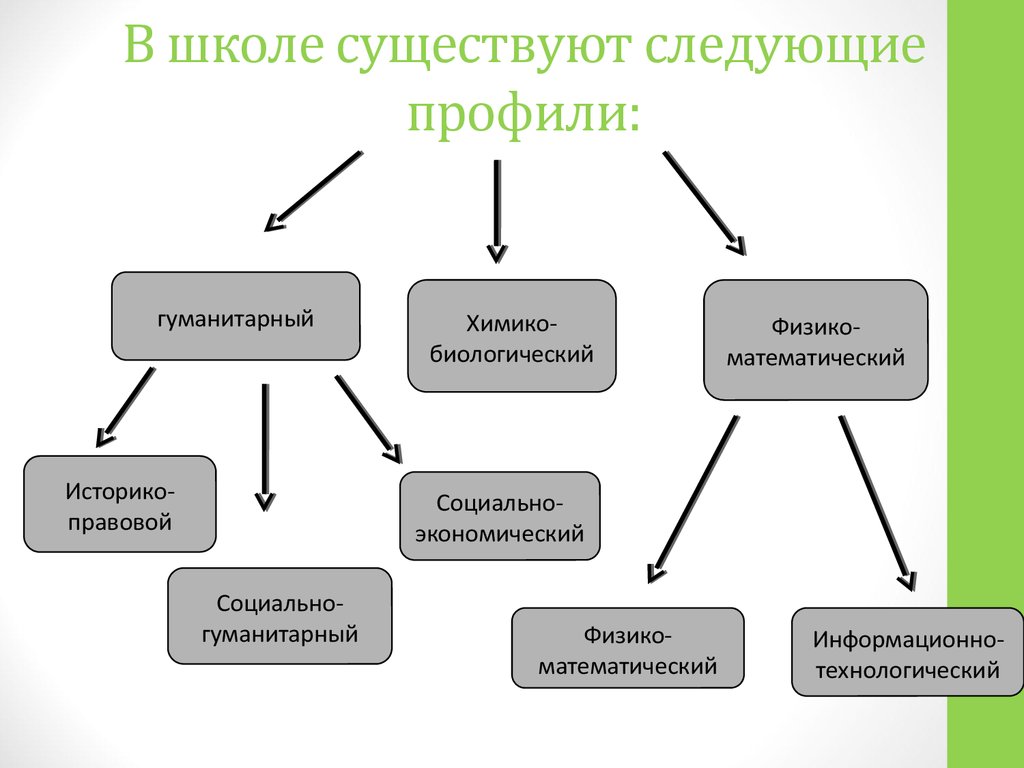 Какие бывают 7. Профильные направления в школе. Какие есть профили в школе. Направления профильных классов в школе. Какие есть профильные классы.