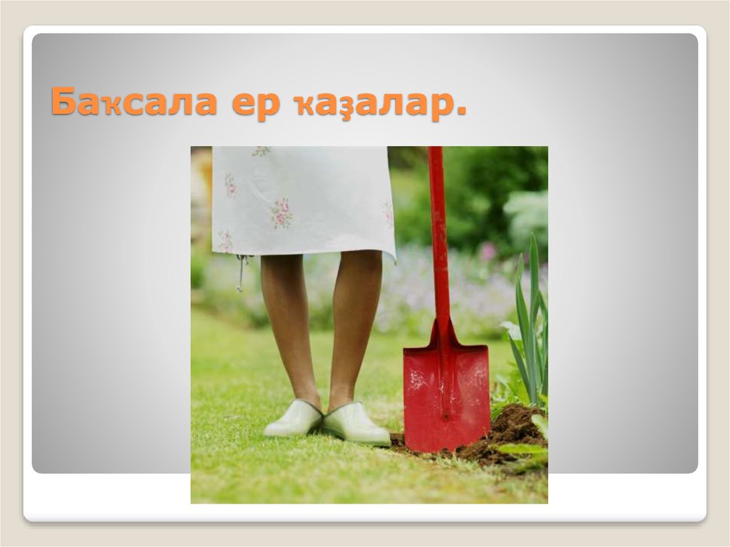 Баҡсала ер ҡаҙалар.
