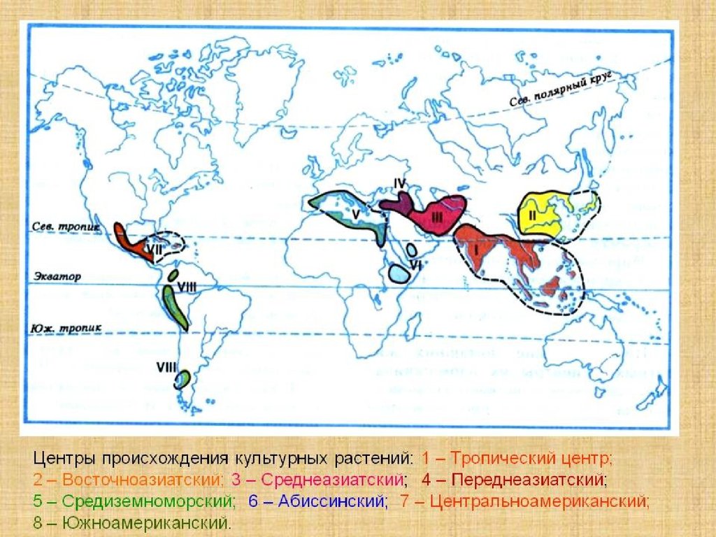 Центры происхождения культурных растений контурная карта. 7 Центров происхождения культурных растений по Вавилову карта.